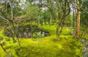 ความเรียบง่ายคือความซับซ้อนสูงสุด