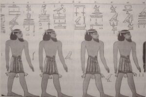 IMG 20250707 074229 1