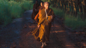 dFQROr7oWzulq5FZWt1Q7WStKfxGmRfetCDfzQmS2ddVfKvk5QMdqLdcKm8AYRrYHxU 1