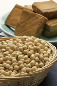 dongdong1 soybean 2760711 1280