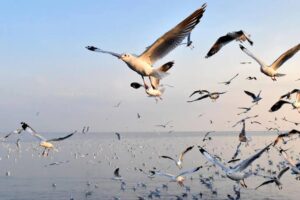 บางปู กับเพื่อนๆ วปรอ. ๔๑-๑๑