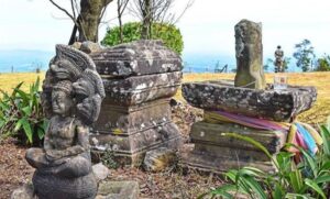 images 32 edit 714599000080890